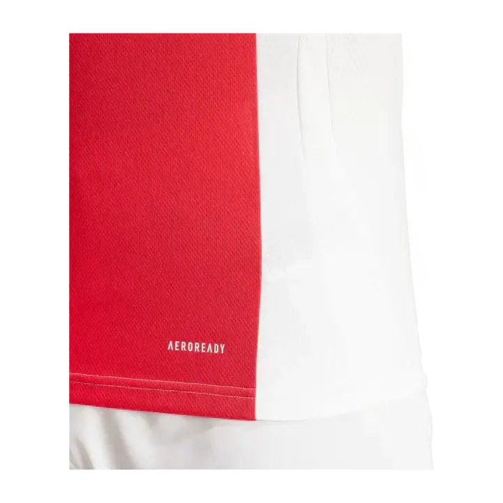 Ajax Amsterdam Domicile 2024/2025