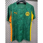 Borussia Dortmund Vert 2025/2026