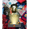 Box Maillot Mystère