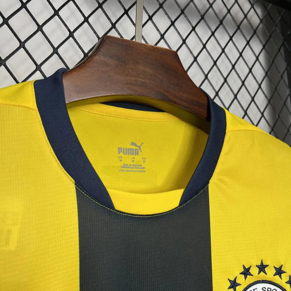 Fenerbahçe SK Domicile 2024/2025