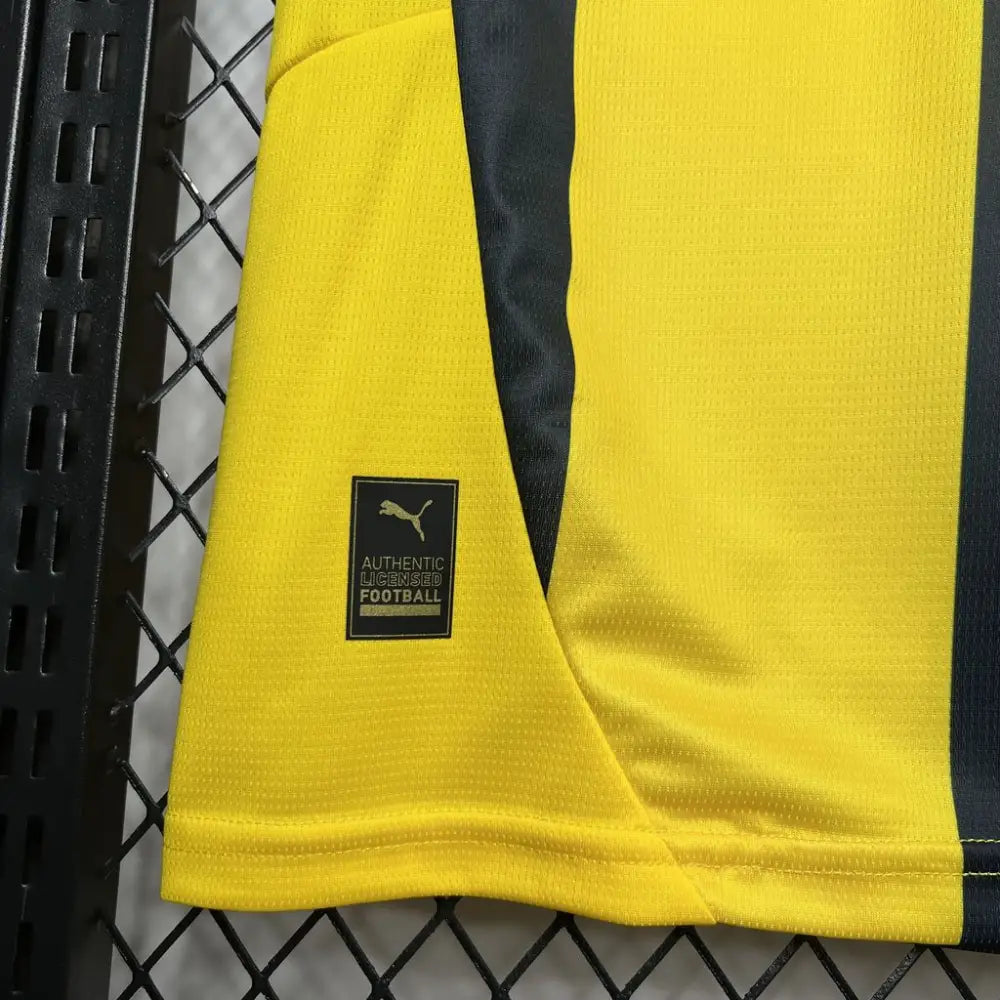 Fenerbahçe SK Domicile 2024/2025