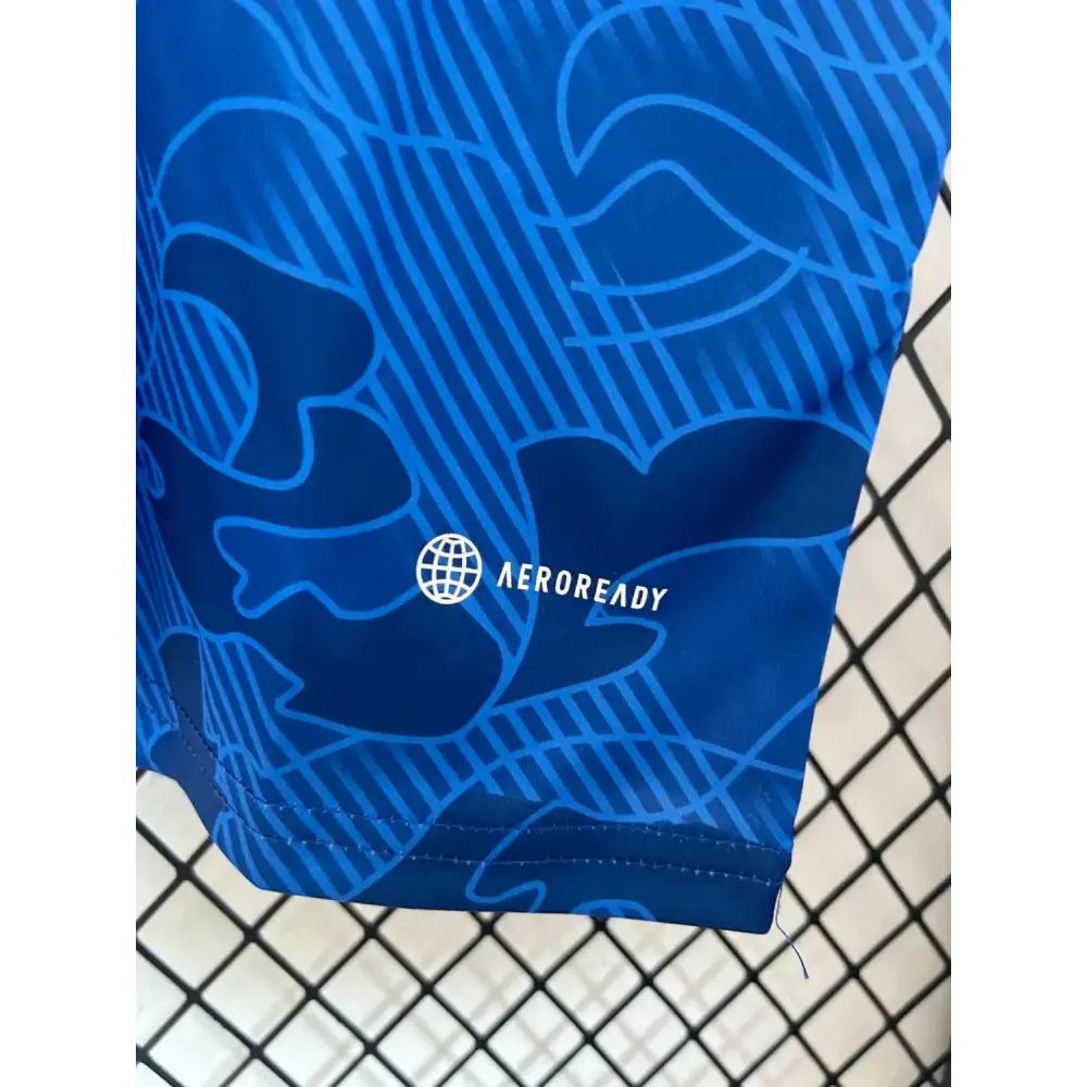 Japon Concept Blue Cargo