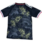 Japon Concept Poisson