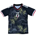 Japon Concept Poisson