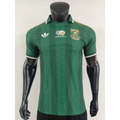 Maillot Afrique du Sud Coupe du Monde 2026 Extérieur Version joueur
