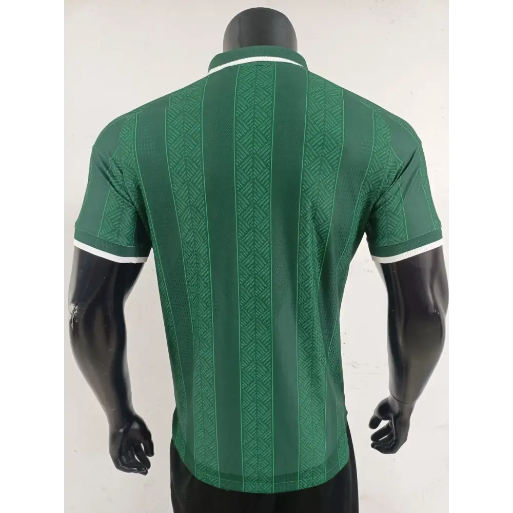Maillot Afrique du Sud Coupe du Monde 2026 Extérieur Version joueur