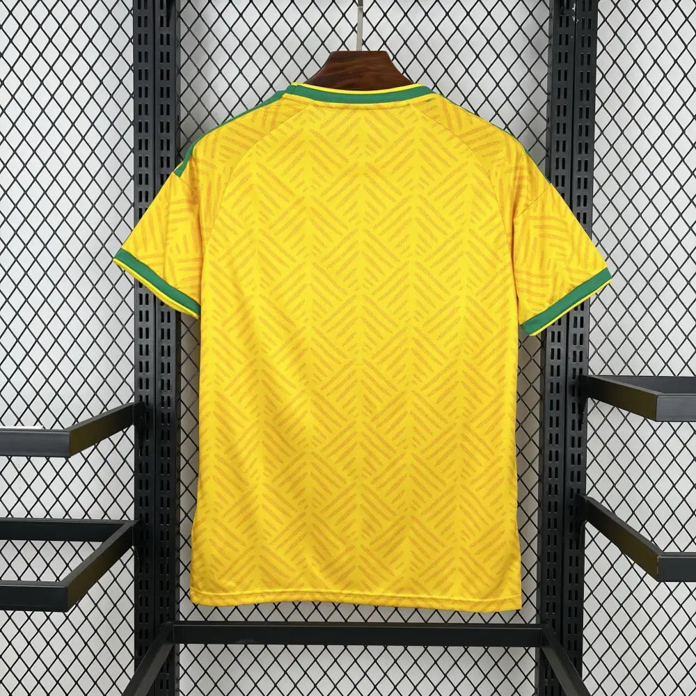 Maillot Afrique du Sud Coupe du Monde 2026 Domicile