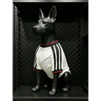 Maillot Allemagne Coupe du Monde 2026 pour Chien