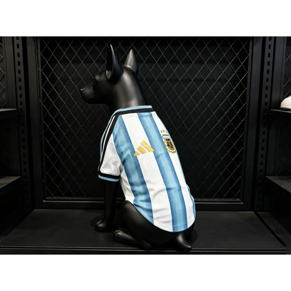 Maillot Argentine Coupe du Monde 2026 pour Chien