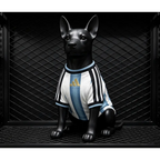 Maillot Argentine Coupe du Monde 2026 pour Chien