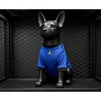 Maillot Bresil Extérieur Coupe du Monde 2026 pour Chien