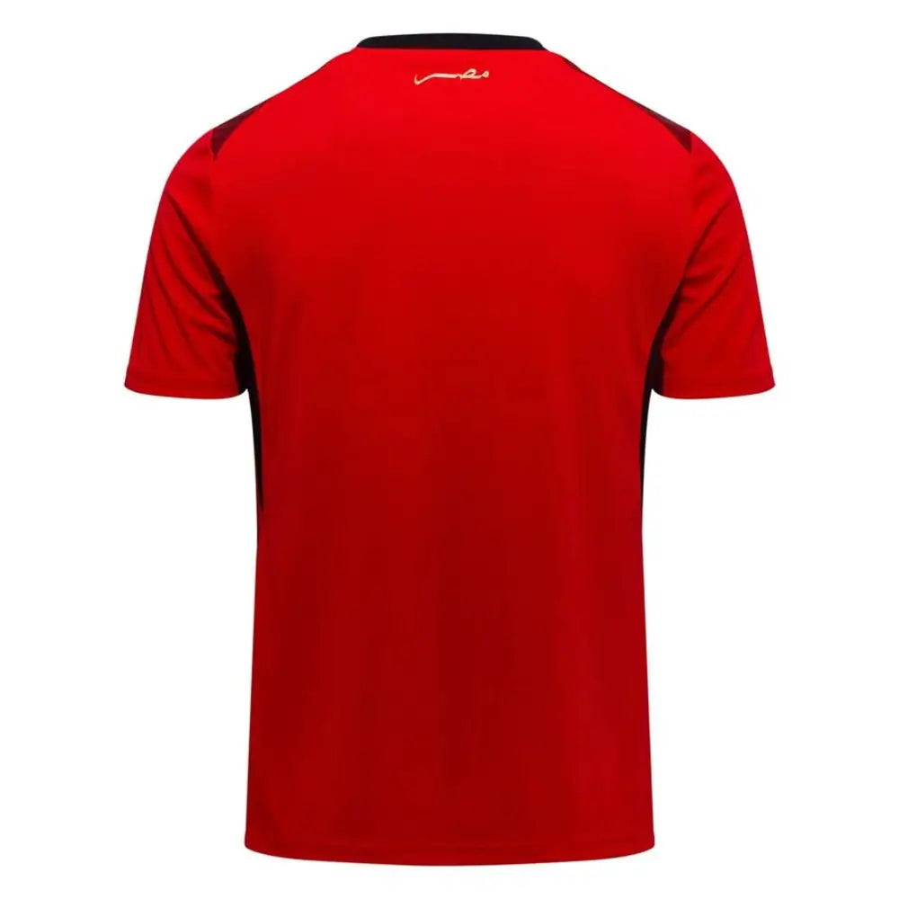 Maillot Egypte Coupe du Monde 2026 Domicile