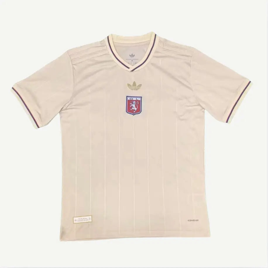 Maillot Lyon 75th anniversaire