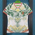 Maillot Mali Concept Vert & Blanc 2025/2026
