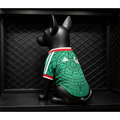 Maillot Mexique Coupe du Monde 2026 pour Chien