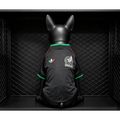 Maillot Mexique Third Coupe du Monde 2026 pour Chien