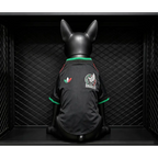 Maillot Mexique Third Coupe du Monde 2026 pour Chien