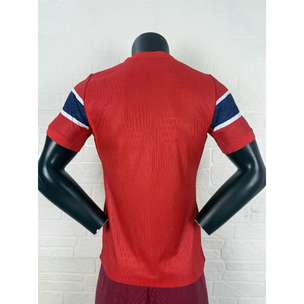 Maillot Norvège Coupe du Monde 2026 Domicile Version Joueur
