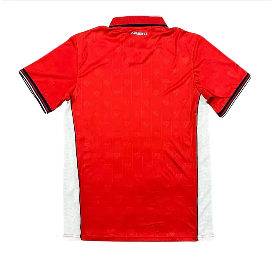 Maillot Panama Coupe du Monde 2026 Domicile