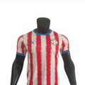 Maillot Paraguay Coupe du Monde 2026 Domicile Version joueur