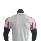 Maillot Paraguay Coupe du Monde 2026 Domicile Version joueur