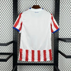Maillot Paraguay Coupe du Monde 2026 Domicile