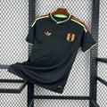 Maillot Pérou Extérieur Coupe du Monde 2026