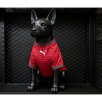 Maillot Portugal Coupe du Monde 2026 pour Chien