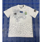 Maillot RDC Congo Concept 2025/2026