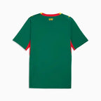 Maillot Sénégal Coupe du Monde 2026 Extérieur