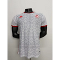 Maillot Tunisie Coupe du Monde 2026 Extérieur Version joueur