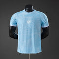 Maillot Uruguay  Coupe du Monde 2026 Concept version joueur