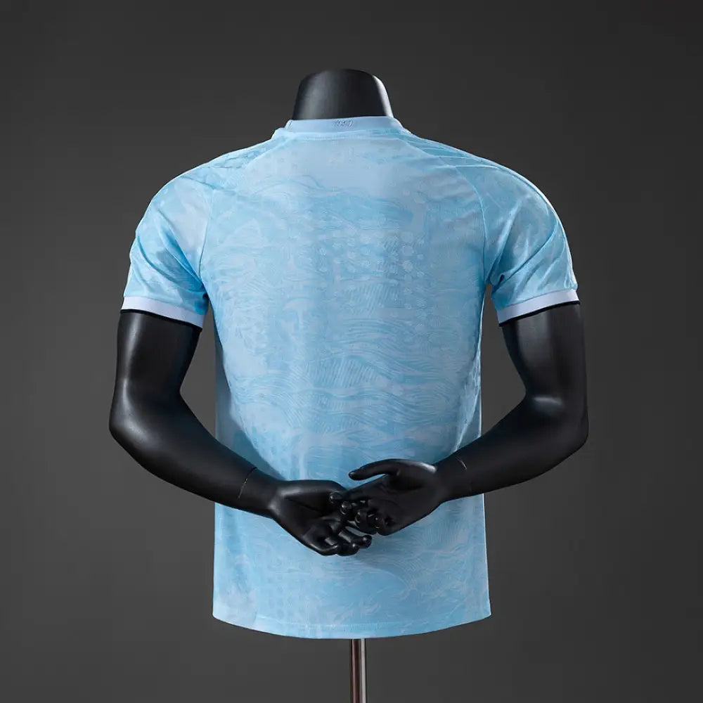 Maillot Uruguay  Coupe du Monde 2026 Concept version joueur