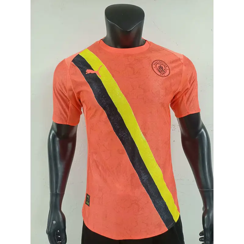 Manchester City Third Version Joueur 2025/2026