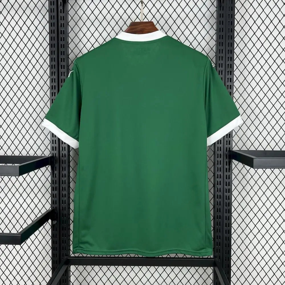 Palmeiras Domicile 2025/2026