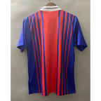 PSG Domicile 1993/1994