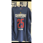 PSG Paris-Saint-Germain Champion d'Europe Collector 2025