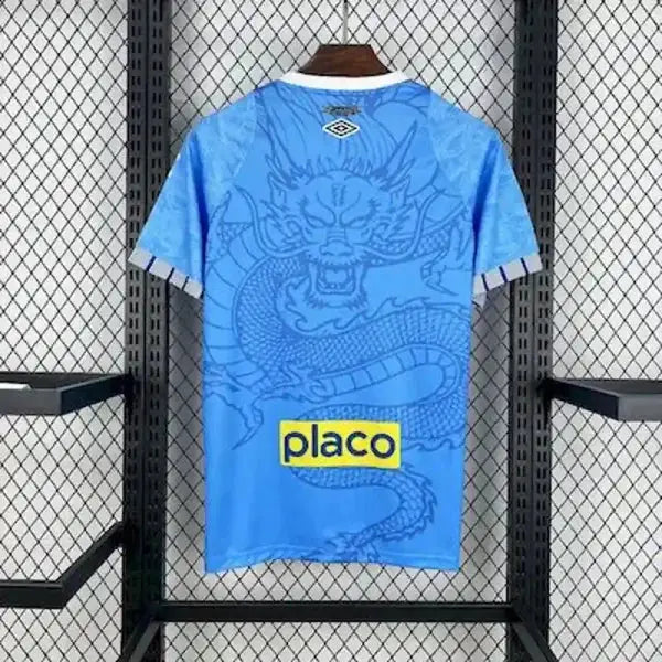Santos Bleu Dragon 2025/2026